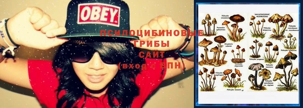 эйфоретик Алексеевка